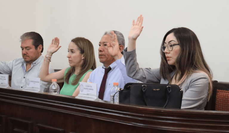 Ricardo Islas Salinas en Votación